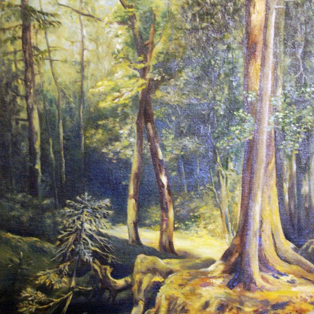 Les | Olej na plátně | 60x80 cm | 2008