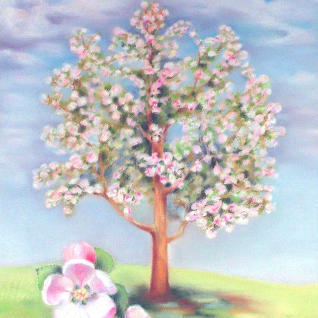 Jarní jabloň | Pastel na papíře