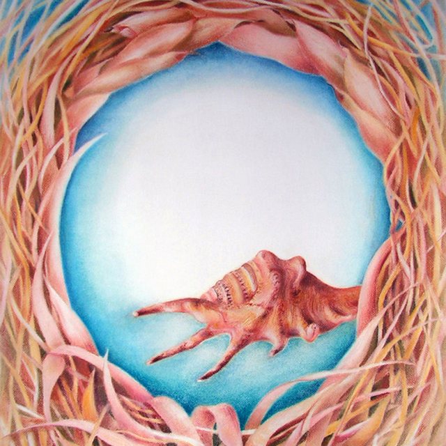 Mušle | Pastel na papíře